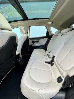 BMW 225xe Hybrid Luxury Line Aut. - 1. Besitz - Top Ausgestattet - Headup, Glasdach Sitzmemory uvm.